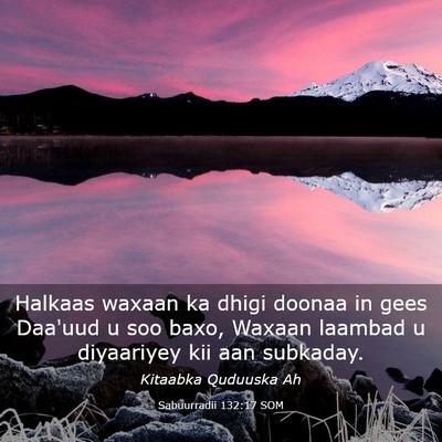 Picture 03 - Sabuurradii 132:17 SOM - Halkaas waxaan ka dhigi doonaa in gees Daa'uud u - Bible Verse Picture