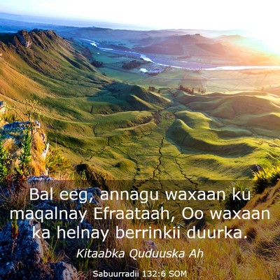 Picture 03 - Sabuurradii 132:6 SOM - Bal eeg, annagu waxaan ku maqalnay Efraataah, Oo - Bible Verse Picture