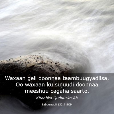 Picture 03 - Sabuurradii 132:7 SOM - Waxaan geli doonnaa taambuugyadiisa, Oo waxaan ku - Bible Verse Picture