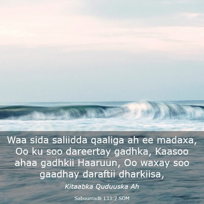 Picture 03 - Sabuurradii 133:2 SOM - Waa sida saliidda qaaliga ah ee madaxa, Oo ku soo - Bible Verse Picture