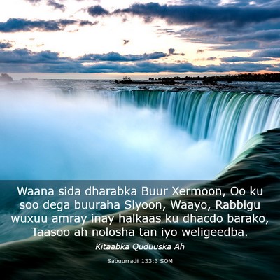 Picture 03 - Sabuurradii 133:3 SOM - Waana sida dharabka Buur Xermoon, Oo ku soo dega - Bible Verse Picture