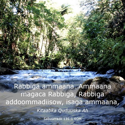 Picture 03 - Sabuurradii 135:1 SOM - Rabbiga ammaana. Ammaana magaca Rabbiga, Rabbiga - Bible Verse Picture