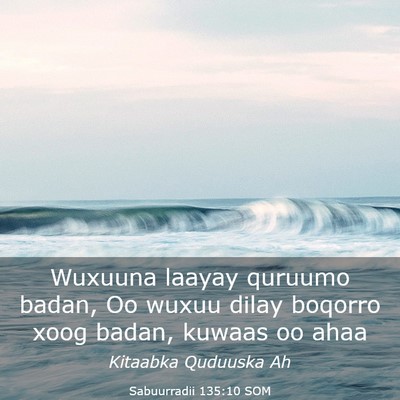 Picture 03 - Sabuurradii 135:10 SOM - Wuxuuna laayay quruumo badan, Oo wuxuu dilay - Bible Verse Picture