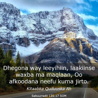 Picture 03 - Sabuurradii 135:17 SOM - Dhegona way leeyihiin, laakiinse waxba ma - Bible Verse Picture