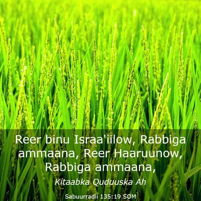 Picture 03 - Sabuurradii 135:19 SOM - Reer binu Israa'iilow, Rabbiga ammaana, Reer - Bible Verse Picture
