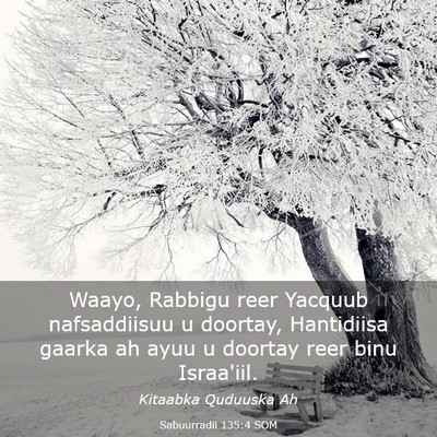 Picture 03 - Sabuurradii 135:4 SOM - Waayo, Rabbigu reer Yacquub nafsaddiisuu u - Bible Verse Picture