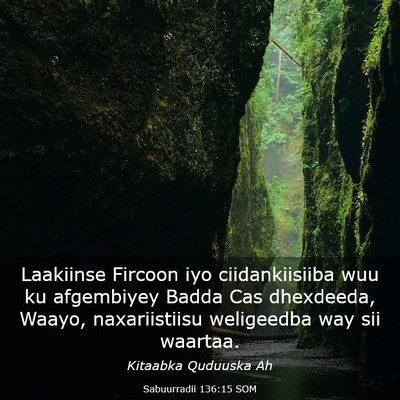Picture 03 - Sabuurradii 136:15 SOM - Laakiinse Fircoon iyo ciidankiisiiba wuu ku - Bible Verse Picture