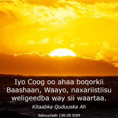 Picture 03 - Sabuurradii 136:20 SOM - Iyo Coog oo ahaa boqorkii Baashaan, Waayo, - Bible Verse Picture