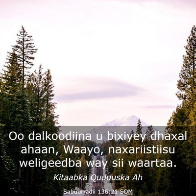 Picture 03 - Sabuurradii 136:21 SOM - Oo dalkoodiina u bixiyey dhaxal ahaan, Waayo, - Bible Verse Picture