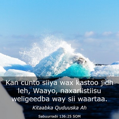 Picture 03 - Sabuurradii 136:25 SOM - Kan cunto siiya wax kastoo jidh leh, Waayo, - Bible Verse Picture