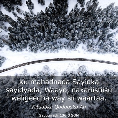 Picture 03 - Sabuurradii 136:3 SOM - Ku mahadnaqa Sayidka sayidyada, Waayo, - Bible Verse Picture