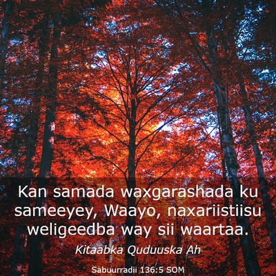 Picture 03 - Sabuurradii 136:5 SOM - Kan samada waxgarashada ku sameeyey, Waayo, - Bible Verse Picture