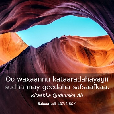 Picture 03 - Sabuurradii 137:2 SOM - Oo waxaannu kataaradahayagii sudhannay geedaha - Bible Verse Picture