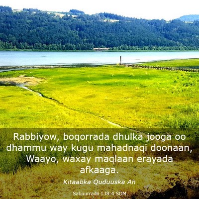Picture 03 - Sabuurradii 138:4 SOM - Rabbiyow, boqorrada dhulka jooga oo dhammu way - Bible Verse Picture