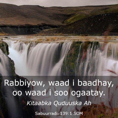 Picture 03 - Sabuurradii 139:1 SOM - Rabbiyow, waad i baadhay, oo waad i soo - Bible Verse Picture