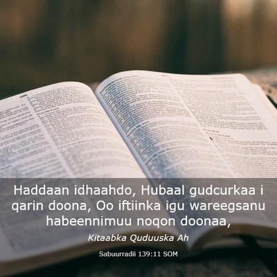 Picture 03 - Sabuurradii 139:11 SOM - Haddaan idhaahdo, Hubaal gudcurkaa i qarin doona, - Bible Verse Picture