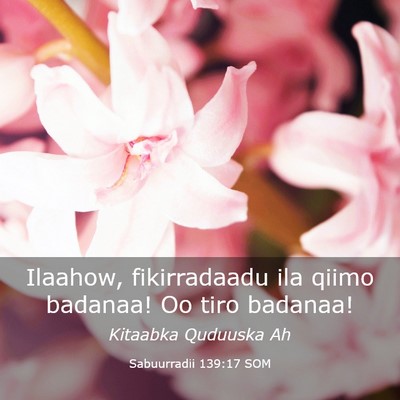Picture 03 - Sabuurradii 139:17 SOM - Ilaahow, fikirradaadu ila qiimo badanaa! Oo tiro - Bible Verse Picture