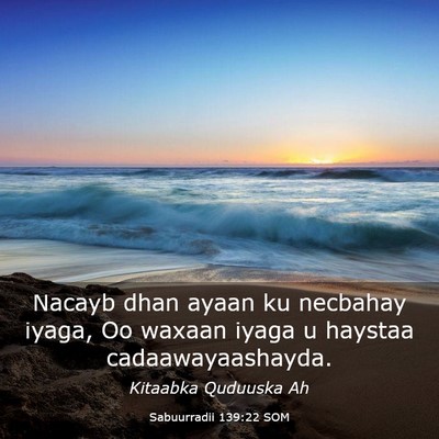 Picture 03 - Sabuurradii 139:22 SOM - Nacayb dhan ayaan ku necbahay iyaga, Oo waxaan - Bible Verse Picture
