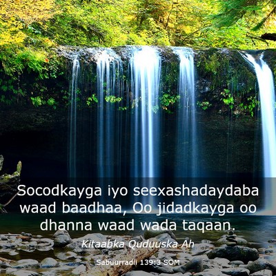 Picture 03 - Sabuurradii 139:3 SOM - Socodkayga iyo seexashadaydaba waad baadhaa, Oo - Bible Verse Picture