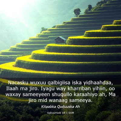 Picture 03 - Sabuurradii 14:1 SOM - Nacasku wuxuu qalbigiisa iska yidhaahdaa, Ilaah - Bible Verse Picture