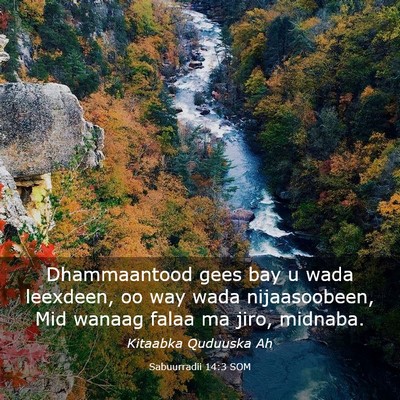 Picture 03 - Sabuurradii 14:3 SOM - Dhammaantood gees bay u wada leexdeen, oo way - Bible Verse Picture