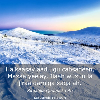 Picture 03 - Sabuurradii 14:5 SOM - Halkaasay aad ugu cabsadeen, Maxaa yeelay, Ilaah - Bible Verse Picture
