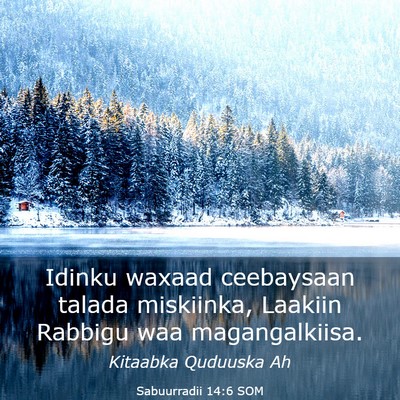 Picture 03 - Sabuurradii 14:6 SOM - Idinku waxaad ceebaysaan talada miskiinka, - Bible Verse Picture