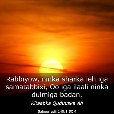 Picture 03 - Sabuurradii 140:1 SOM - Rabbiyow, ninka sharka leh iga samatabbixi, Oo - Bible Verse Picture