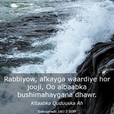 Picture 03 - Sabuurradii 141:3 SOM - Rabbiyow, afkayga waardiye hor jooji, Oo albaabka - Bible Verse Picture