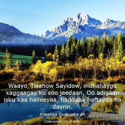Picture 03 - Sabuurradii 141:8 SOM - Waayo, Ilaahow Sayidow, indhahaygu xaggaagay ku - Bible Verse Picture