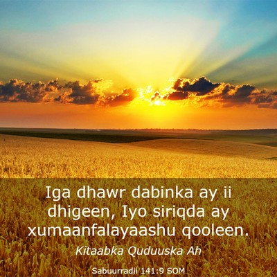 Picture 03 - Sabuurradii 141:9 SOM - Iga dhawr dabinka ay ii dhigeen, Iyo siriqda ay - Bible Verse Picture