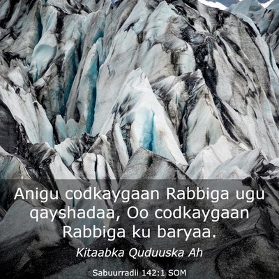 Picture 03 - Sabuurradii 142:1 SOM - Anigu codkaygaan Rabbiga ugu qayshadaa, Oo - Bible Verse Picture