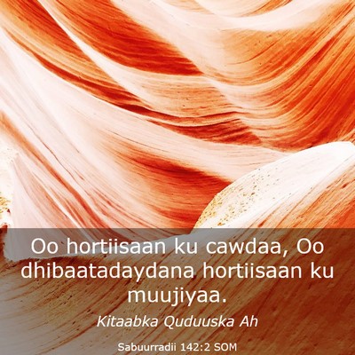 Picture 03 - Sabuurradii 142:2 SOM - Oo hortiisaan ku cawdaa, Oo dhibaatadaydana - Bible Verse Picture
