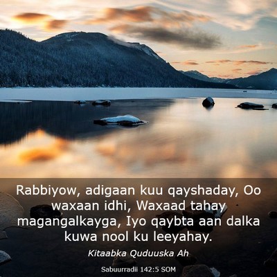 Picture 03 - Sabuurradii 142:5 SOM - Rabbiyow, adigaan kuu qayshaday, Oo waxaan idhi, - Bible Verse Picture