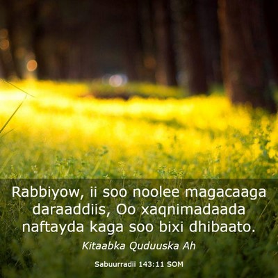 Picture 03 - Sabuurradii 143:11 SOM - Rabbiyow, ii soo noolee magacaaga daraaddiis, Oo - Bible Verse Picture