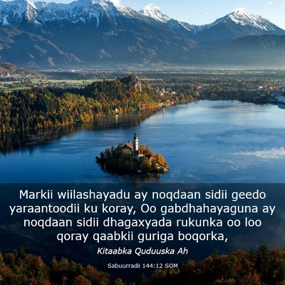 Picture 03 - Sabuurradii 144:12 SOM - Markii wiilashayadu ay noqdaan sidii geedo - Bible Verse Picture