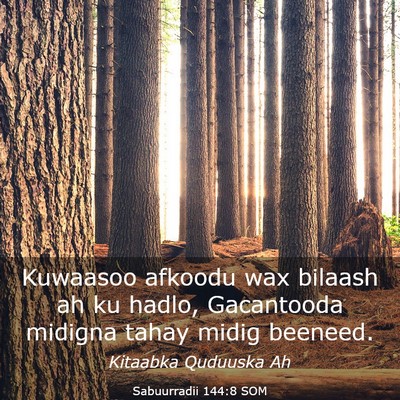 Picture 03 - Sabuurradii 144:8 SOM - Kuwaasoo afkoodu wax bilaash ah ku hadlo, - Bible Verse Picture