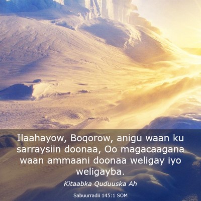 Picture 03 - Sabuurradii 145:1 SOM - Ilaahayow, Boqorow, anigu waan ku sarraysiin - Bible Verse Picture