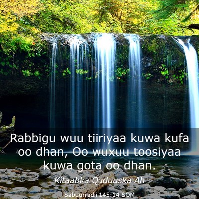 Picture 03 - Sabuurradii 145:14 SOM - Rabbigu wuu tiiriyaa kuwa kufa oo dhan, Oo wuxuu - Bible Verse Picture