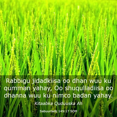 Picture 03 - Sabuurradii 145:17 SOM - Rabbigu jidadkiisa oo dhan wuu ku qumman yahay, - Bible Verse Picture