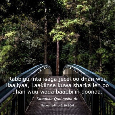 Picture 03 - Sabuurradii 145:20 SOM - Rabbigu inta isaga jecel oo dhan wuu ilaaliyaa, - Bible Verse Picture