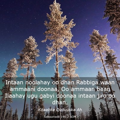 Picture 03 - Sabuurradii 146:2 SOM - Intaan noolahay oo dhan Rabbiga waan ammaani - Bible Verse Picture