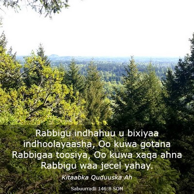 Picture 03 - Sabuurradii 146:8 SOM - Rabbigu indhahuu u bixiyaa indhoolayaasha, Oo - Bible Verse Picture