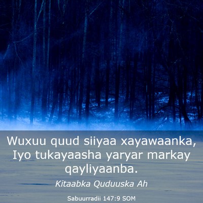 Picture 03 - Sabuurradii 147:9 SOM - Wuxuu quud siiyaa xayawaanka, Iyo tukayaasha - Bible Verse Picture