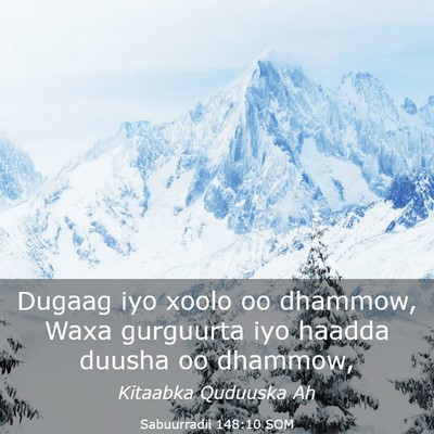 Picture 03 - Sabuurradii 148:10 SOM - Dugaag iyo xoolo oo dhammow, Waxa gurguurta iyo - Bible Verse Picture