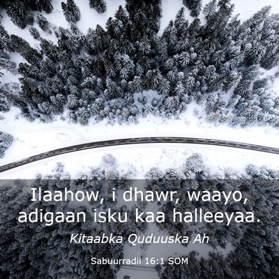 Picture 03 - Sabuurradii 16:1 SOM - Ilaahow, i dhawr, waayo, adigaan isku kaa - Bible Verse Picture