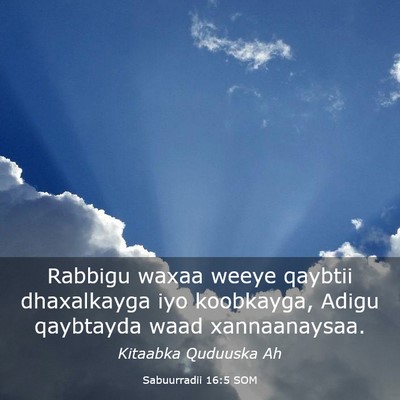 Picture 03 - Sabuurradii 16:5 SOM - Rabbigu waxaa weeye qaybtii dhaxalkayga iyo - Bible Verse Picture