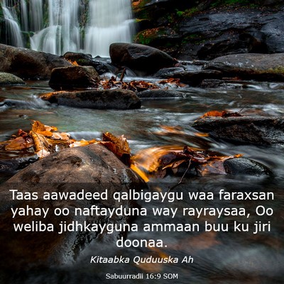 Picture 03 - Sabuurradii 16:9 SOM - Taas aawadeed qalbigaygu waa faraxsan yahay oo - Bible Verse Picture