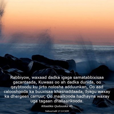 Picture 03 - Sabuurradii 17:14 SOM - Rabbiyow, waxaad dadka igaga samatabbixisaa - Bible Verse Picture