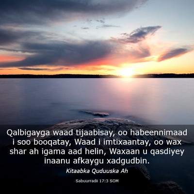 Picture 03 - Sabuurradii 17:3 SOM - Qalbigayga waad tijaabisay, oo habeennimaad i soo - Bible Verse Picture